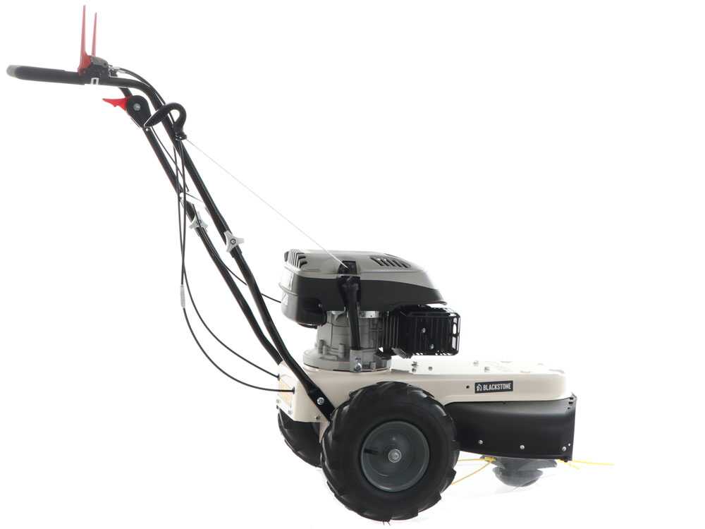 Débroussailleuse à roues BLACKSTONE WGT 60-173 SP