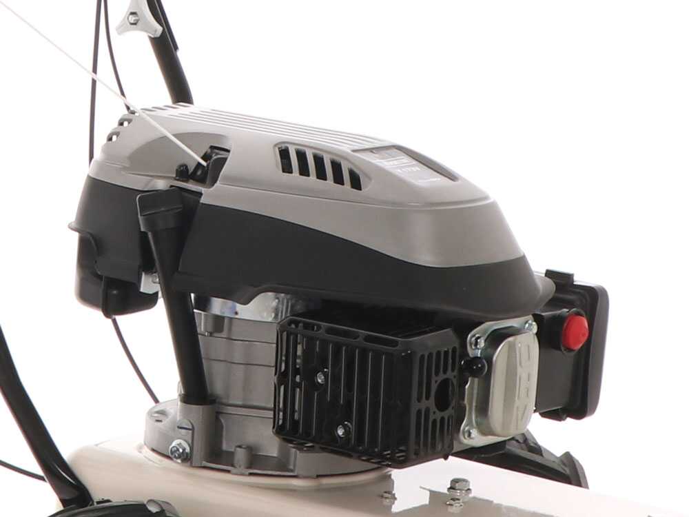 Débroussailleuse à roues BLACKSTONE WGT 60-173 SP